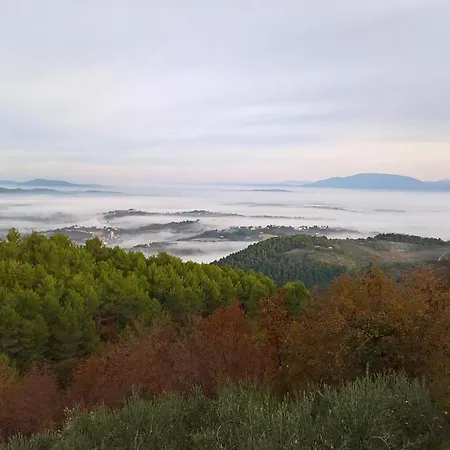Dom wakacyjny Turistico Montelirossi Spoleto